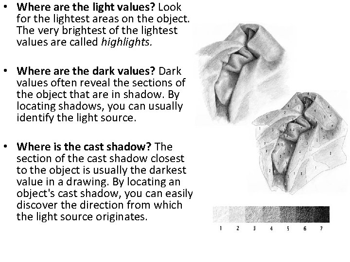  • Where are the light values? Look for the lightest areas on the
