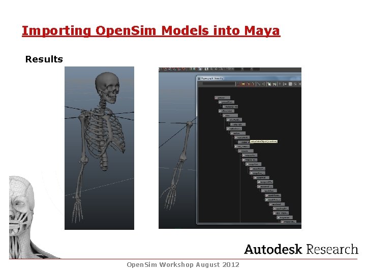 Importing Open. Sim Models into Maya Results Open. Sim Workshop August 2012 