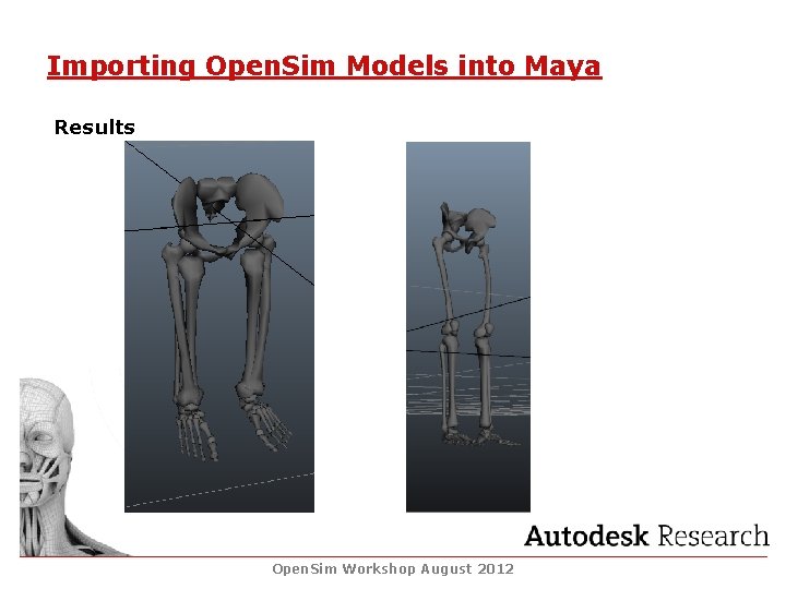 Importing Open. Sim Models into Maya Results Open. Sim Workshop August 2012 