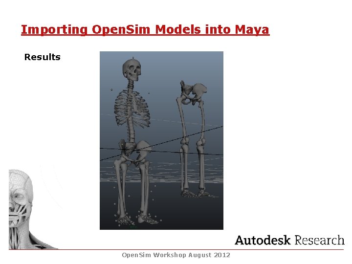 Importing Open. Sim Models into Maya Results Open. Sim Workshop August 2012 