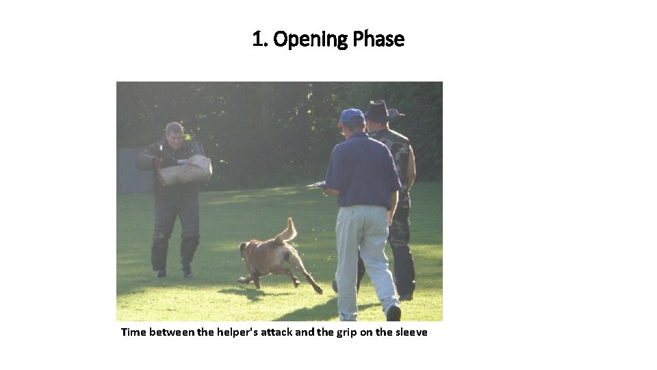 1. Opening Phase Time between the helper's attack and the grip on the sleeve