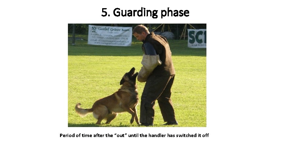 5. Guarding phase Period of time after the “out” until the handler has switched
