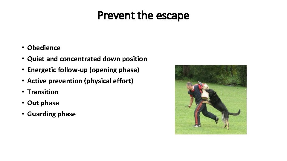 Prevent the escape • • Obedience Quiet and concentrated down position Energetic follow-up (opening