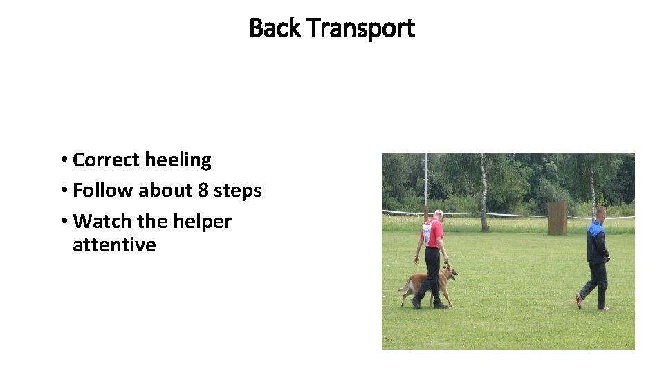 Back Transport • Correct heeling • Follow about 8 steps • Watch the helper