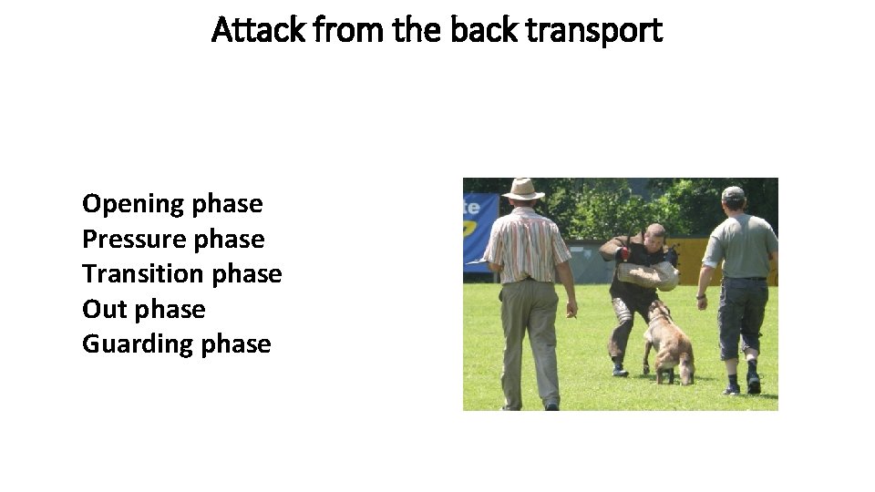 Attack from the back transport Opening phase Pressure phase Transition phase Out phase Guarding