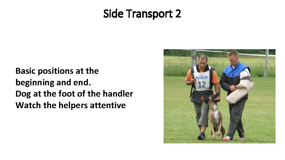 Side Transport 2 Basic positions at the beginning and end. Dog at the foot