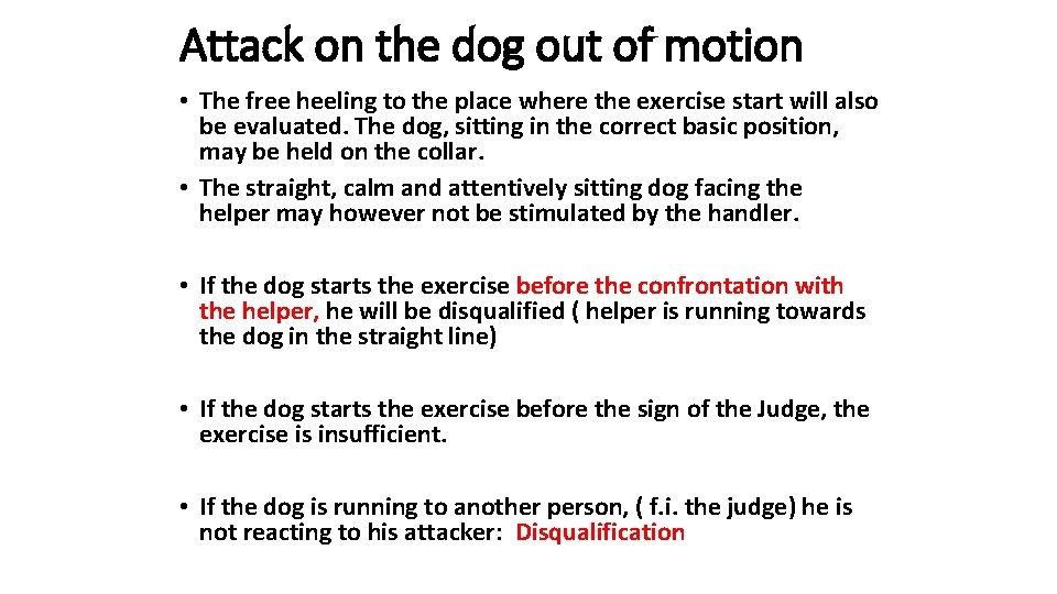 Attack on the dog out of motion • The free heeling to the place