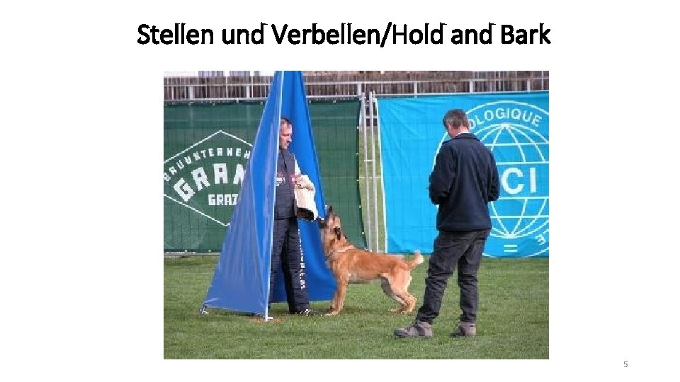 Stellen und Verbellen/Hold and Bark 5 