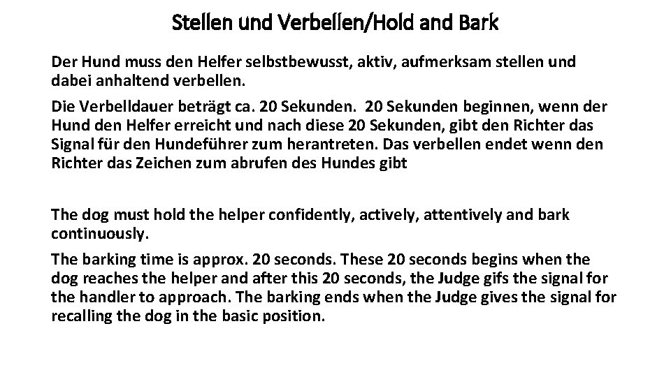 Stellen und Verbellen/Hold and Bark Der Hund muss den Helfer selbstbewusst, aktiv, aufmerksam stellen