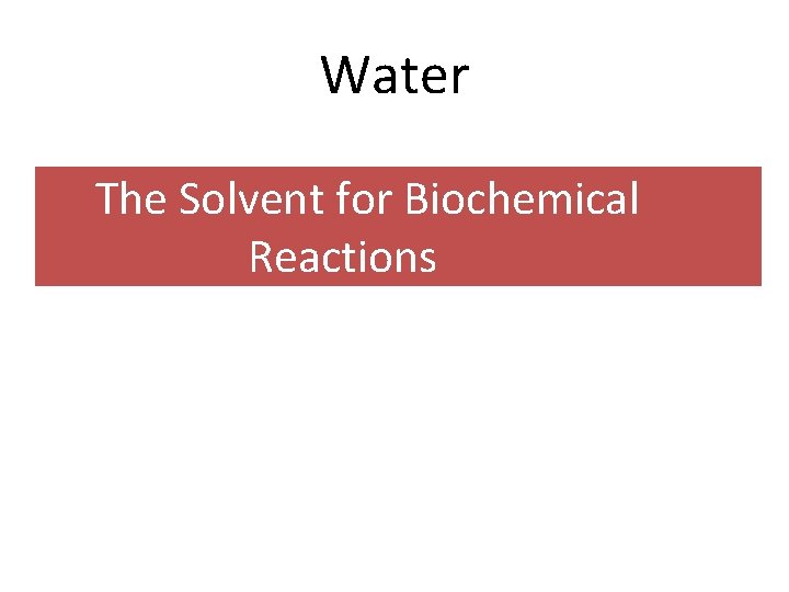 Water The Solvent for Biochemical Reactions 