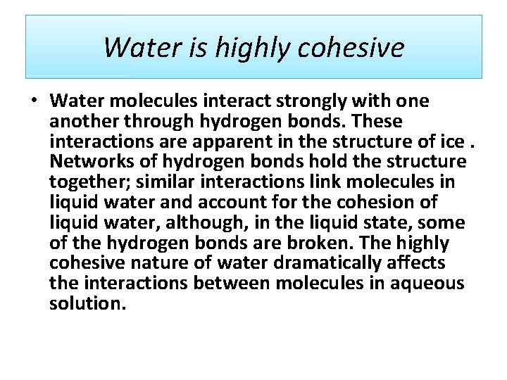 Water is highly cohesive • Water molecules interact strongly with one another through hydrogen