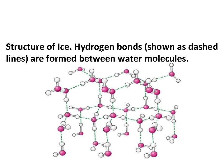 Structure of Ice. Hydrogen bonds (shown as dashed lines) are formed between water molecules.