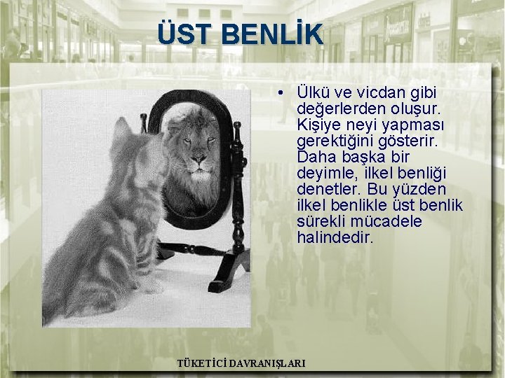 ÜST BENLİK • Ülkü ve vicdan gibi değerlerden oluşur. Kişiye neyi yapması gerektiğini gösterir.