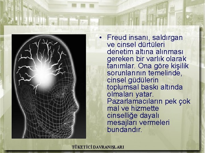  • Freud insanı, saldırgan ve cinsel dürtüleri denetim altına alınması gereken bir varlık