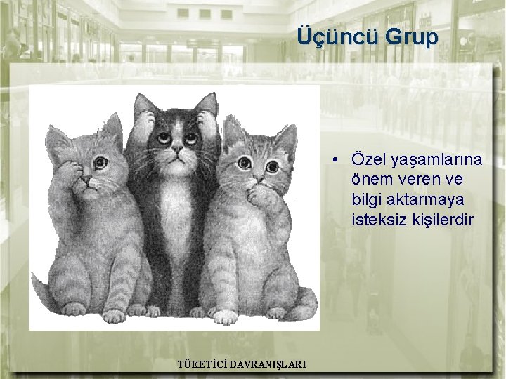 Üçüncü Grup • Özel yaşamlarına önem veren ve bilgi aktarmaya isteksiz kişilerdir TÜKETİCİ DAVRANIŞLARI