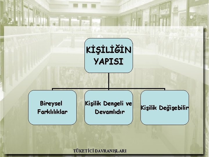 KİŞİLİĞİN YAPISI Bireysel Farklılıklar Kişilik Dengeli ve Devamlıdır TÜKETİCİ DAVRANIŞLARI Kişilik Değişebilir A. H.