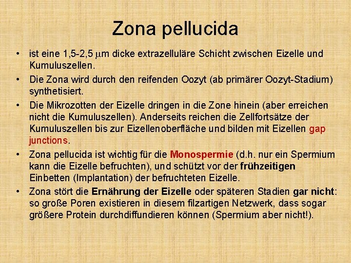 Zona pellucida • ist eine 1, 5 -2, 5 mm dicke extrazelluläre Schicht zwischen