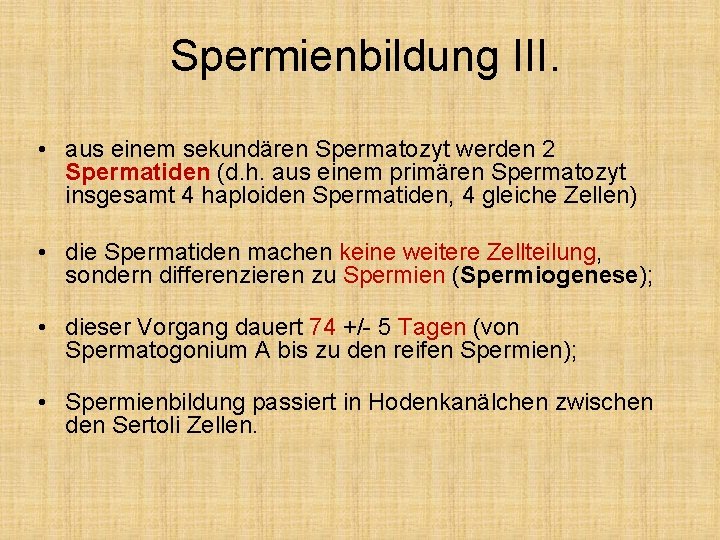 Spermienbildung III. • aus einem sekundären Spermatozyt werden 2 Spermatiden (d. h. aus einem