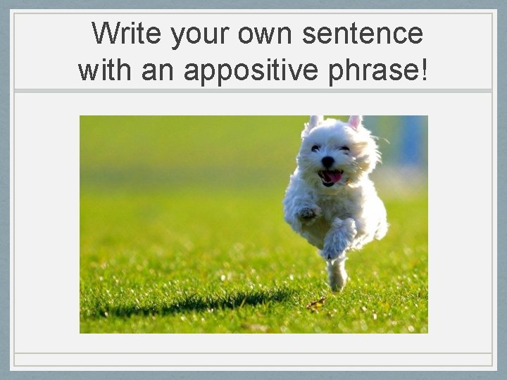 Write your own sentence with an appositive phrase! 