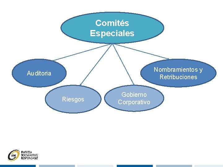 Comités Especiales Nombramientos y Retribuciones Auditoria Riesgos Gobierno Corporativo 