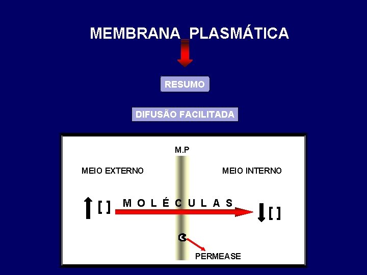 MEMBRANA PLASMÁTICA RESUMO DIFUSÃO FACILITADA M. P MEIO EXTERNO [] MEIO INTERNO M O