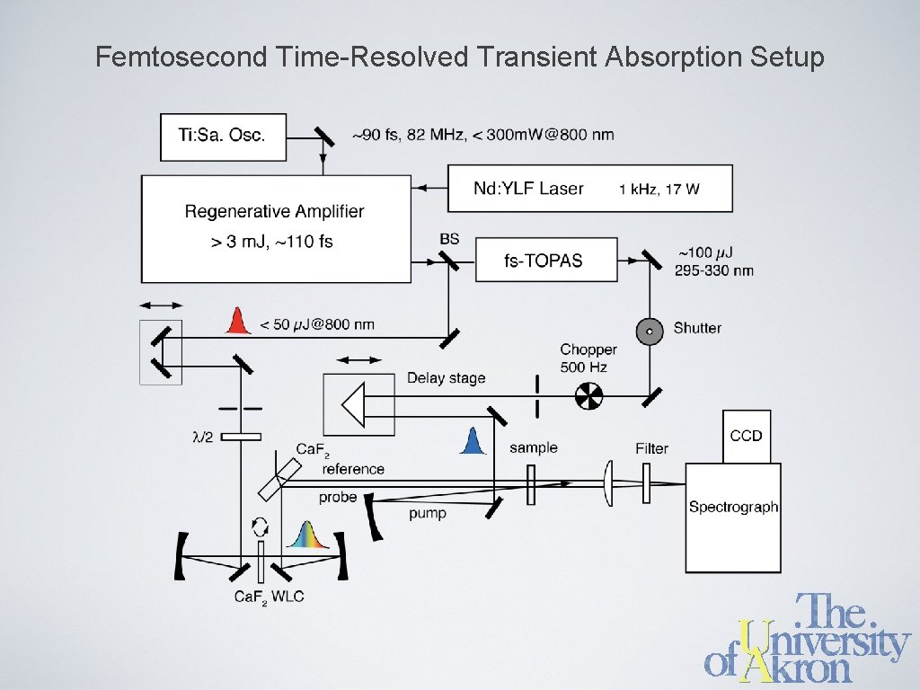 Femtosecond Time-Resolved Transient Absorption Setup 