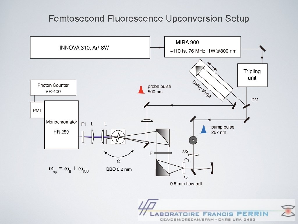 Femtosecond Fluorescence Upconversion Setup 