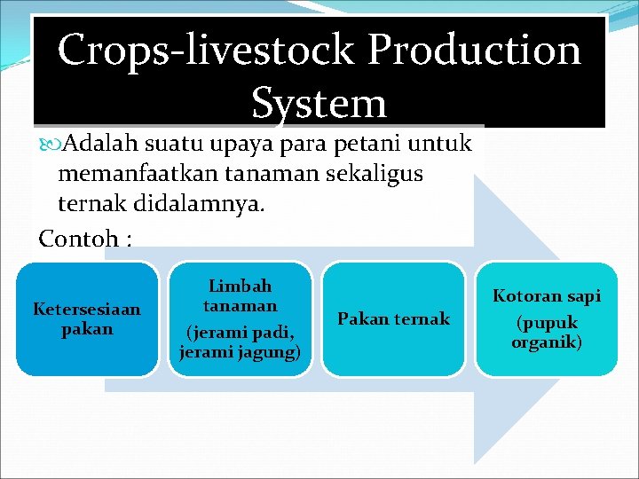 Crops-livestock Production System Adalah suatu upaya para petani untuk memanfaatkan tanaman sekaligus ternak didalamnya.