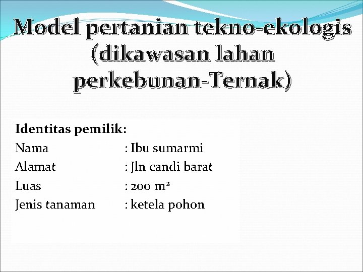 Model pertanian tekno-ekologis (dikawasan lahan perkebunan-Ternak) Identitas pemilik: Nama : Ibu sumarmi Alamat :
