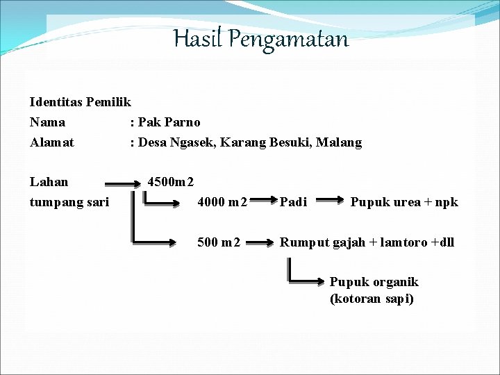 Hasil Pengamatan Identitas Pemilik Nama : Pak Parno Alamat : Desa Ngasek, Karang Besuki,