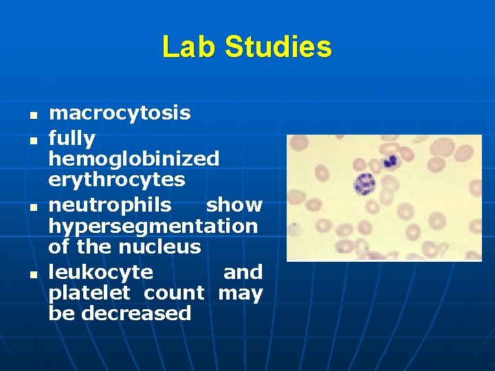 Lab Studies n n macrocytosis fully hemoglobinized erythrocytes neutrophils show hypersegmentation of the nucleus