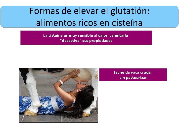 Formas de elevar el glutatión: alimentos ricos en cisteína La cisteina es muy sensible