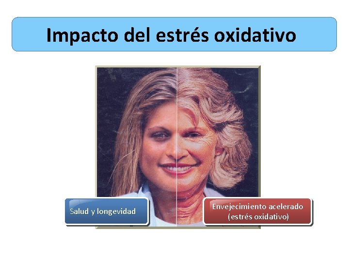 Impacto del estrés oxidativo Salud y longevidad Envejecimiento acelerado (estrés oxidativo) 