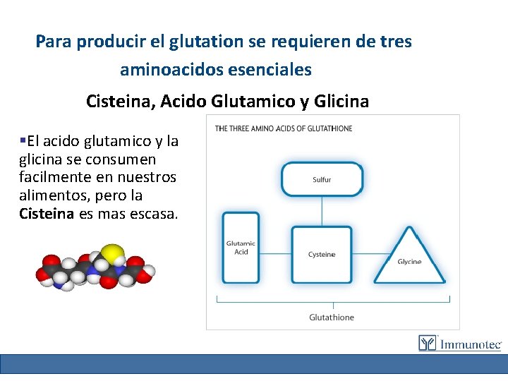 Para producir el glutation se requieren de tres aminoacidos esenciales Cisteina, Acido Glutamico y