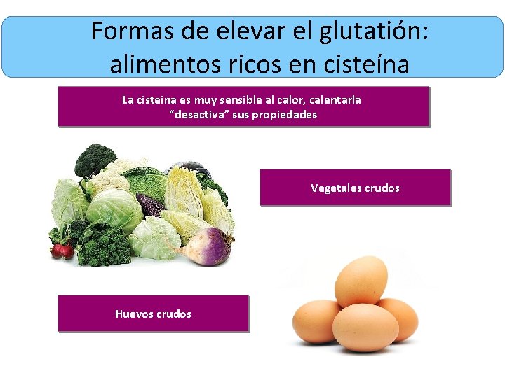 Formas de elevar el glutatión: alimentos ricos en cisteína La cisteina es muy sensible