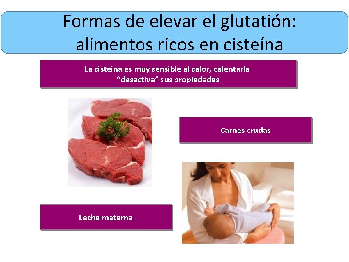 Formas de elevar el glutatión: alimentos ricos en cisteína La cisteina es muy sensible
