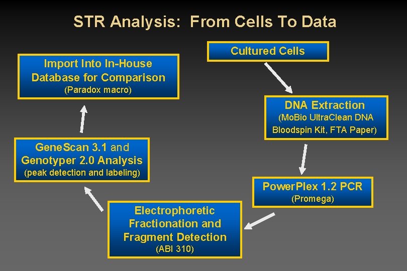 STR Analysis: From Cells To Data Cultured Cells Import Into In-House Database for Comparison