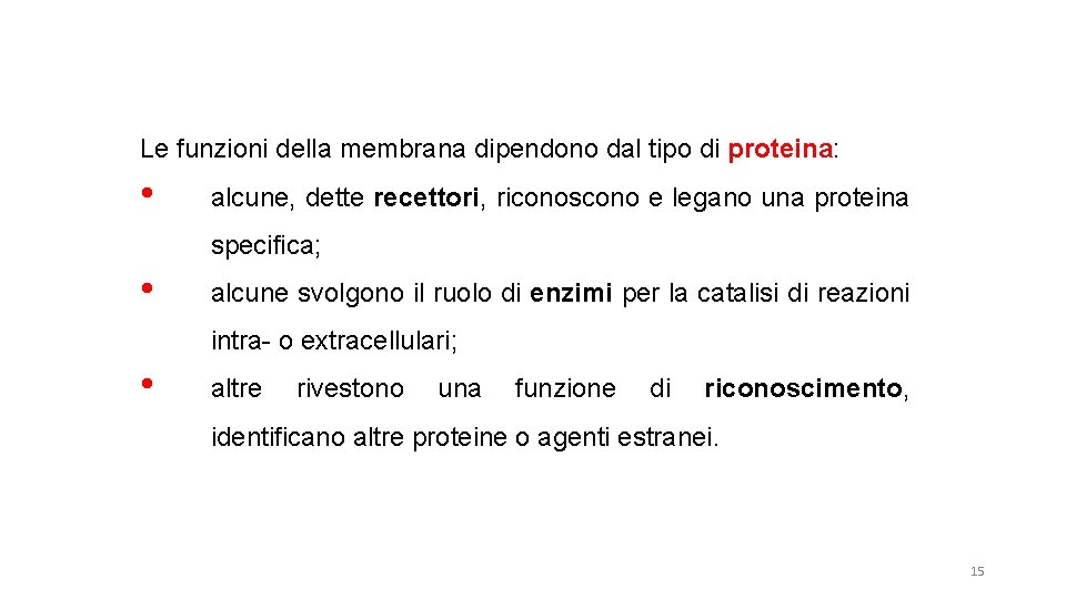 Le funzioni della membrana dipendono dal tipo di proteina: • alcune, dette recettori, riconoscono