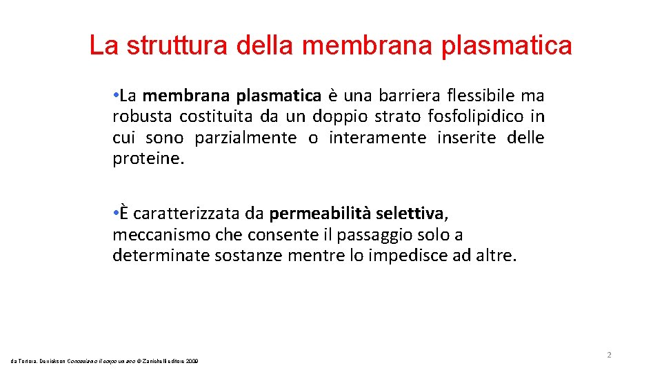 La struttura della membrana plasmatica • La membrana plasmatica è una barriera flessibile ma