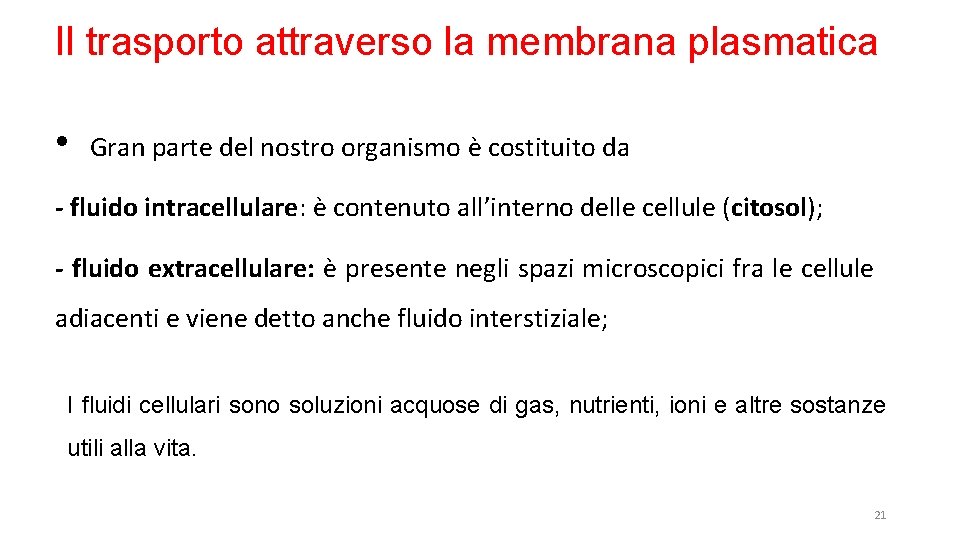 Il trasporto attraverso la membrana plasmatica • Gran parte del nostro organismo è costituito