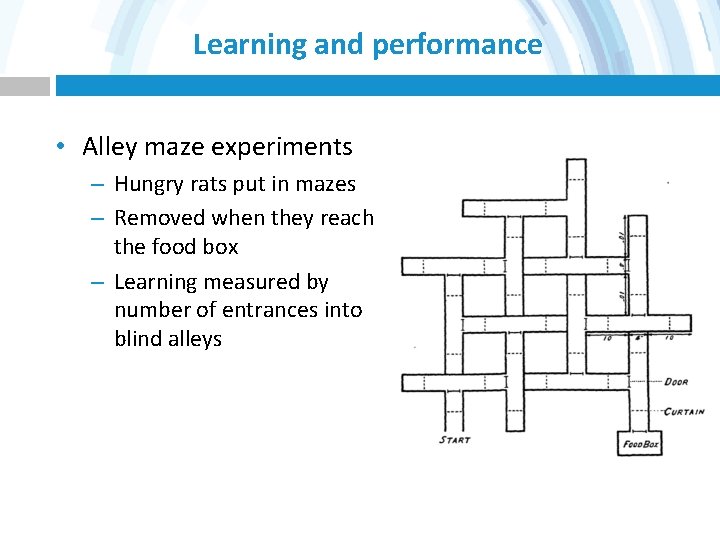 Learning and performance • Alley maze experiments – Hungry rats put in mazes –