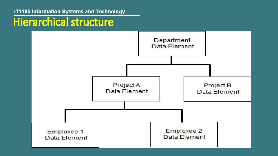 IT 1105 Information Systems and Technology Hierarchical structure 