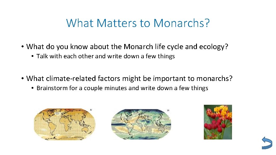 What Matters to Monarchs? • What do you know about the Monarch life cycle