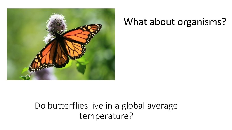What about organisms? Do butterflies live in a global average temperature? 