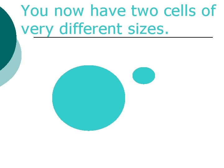 You now have two cells of very different sizes. 