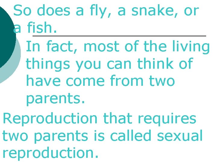 So does a fly, a snake, or a fish. In fact, most of the