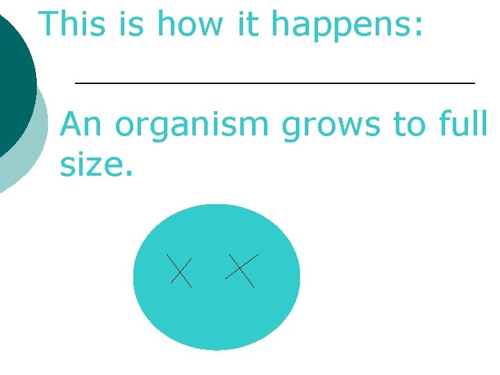 This is how it happens: An organism grows to full size. 