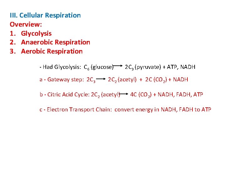 III. Cellular Respiration Overview: 1. Glycolysis 2. Anaerobic Respiration 3. Aerobic Respiration - Had