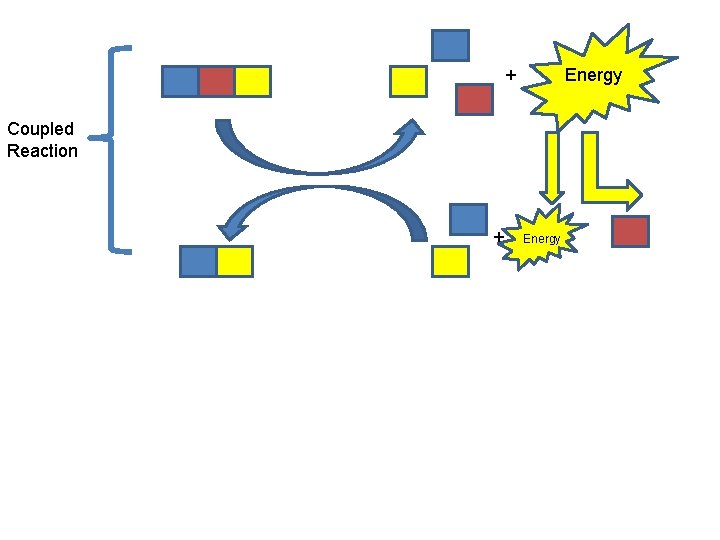 + Energy Coupled Reaction + Energy 