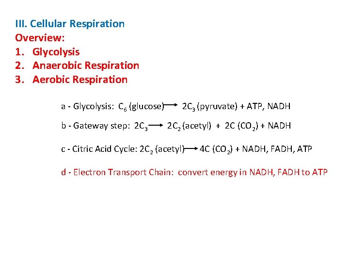 III. Cellular Respiration Overview: 1. Glycolysis 2. Anaerobic Respiration 3. Aerobic Respiration a -
